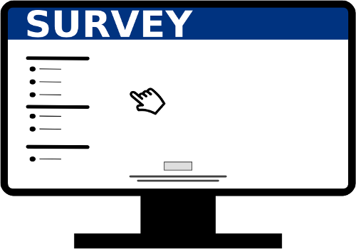 online survey