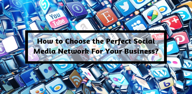 How to Choose The Perfect Social Media Network For Your Business