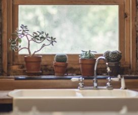 6 Simple Ways to Create an Eco-Friendly Kitchen