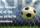 Premier League Goal of the Season 2018-19 Contenders