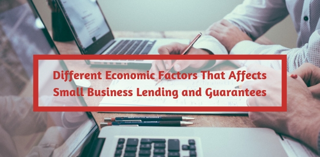 Different Economic Factors That Affects Small Business Lending and Guarantees