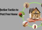 Most Effective Tactics to have a Pest Free Home
