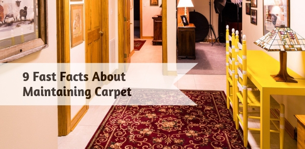 9 Fast Facts About Maintaining Carpet