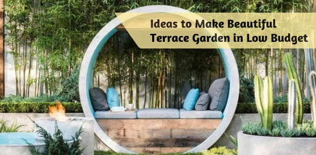 Ideas to Make Beautiful Terrace Garden in Low Budget