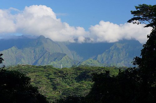 Big Bog, Maui - Hawaii