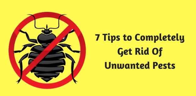 7 Tips to Completely Get Rid Of Unwanted Pests