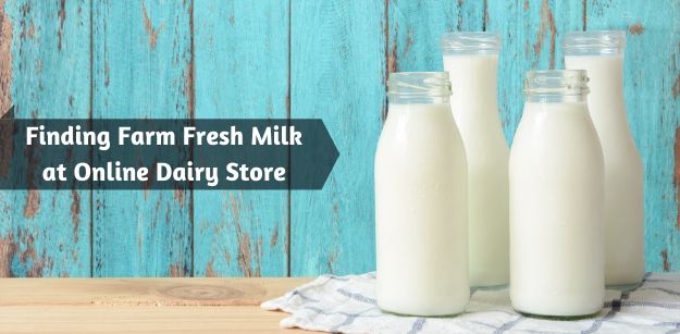 Finding Farm Fresh Milk at Online Dairy Store
