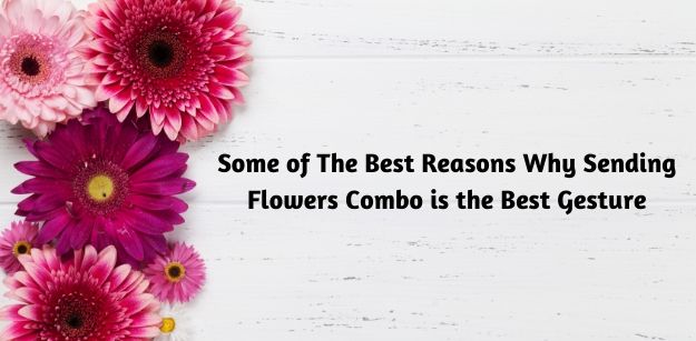 Some of The Best Reasons Why Sending Flowers Combo is the Best Gesture