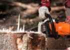 Safe and Effective Tips to Remove a Tree Stump
