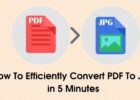 How To Efficiently Convert PDF To JPG in 5 Minutes