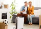 How Air Purifier is Helpful for Allergic People