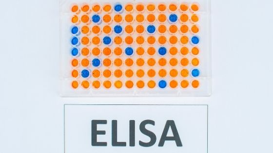 ELISA test