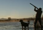 Tricks To Become A Duck Hunting Pro