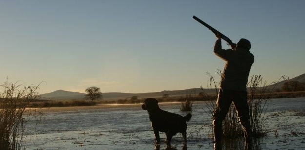 Tricks To Become A Duck Hunting Pro