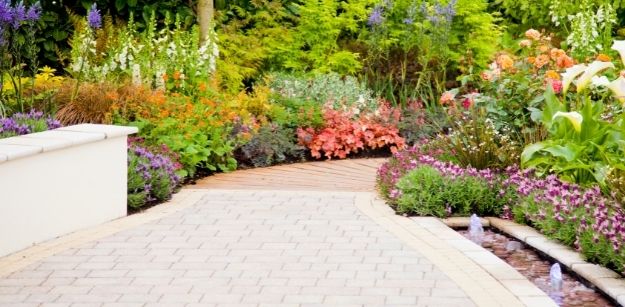 Money-Saving Tips During A Landscape Renovation Project