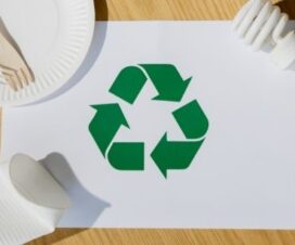 4 Reasons Why Recycling is Important