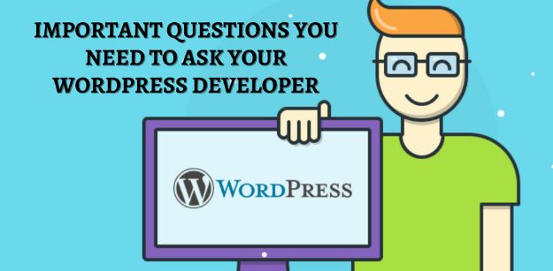 Important Questions You Need to Ask Your WordPress Developer