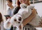 A List of the Best Pet-Friendly Countries Worldwide