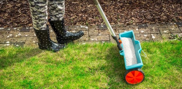 Everything You Need to Know About Lawn Fertilization