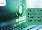 Mind-Blowing Facts About Voice Search on Google