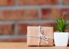 What Are The Best Plants To Gift And Why Do People Choose Them