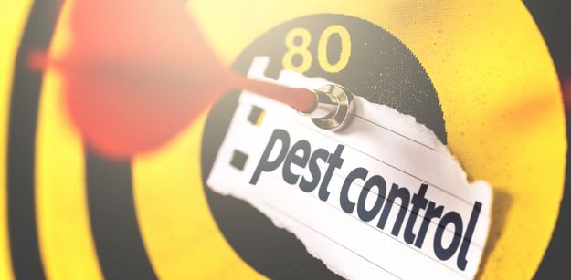 Use These 4 Tactics To Keep Your Bristol Home Pest Free