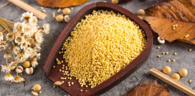 How Are Millets Useful for Folks Affected by Diabetes?