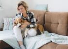 fostering furry friendships the benefits of allowing pets in rental properties