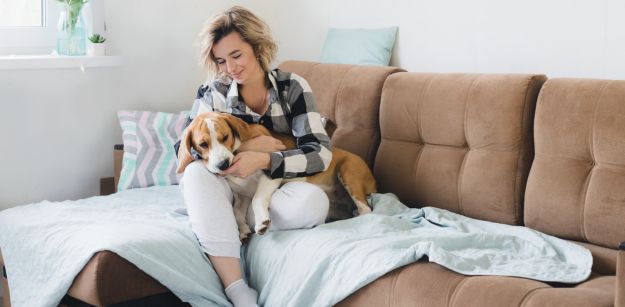 fostering furry friendships the benefits of allowing pets in rental properties