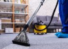 the role of professional service for carpet cleaning