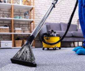 the role of professional service for carpet cleaning