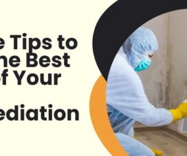 three tips to get the best out of your mold remediation