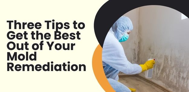 three tips to get the best out of your mold remediation