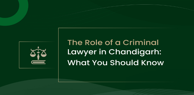 the role of a criminal lawyer in chandigarh